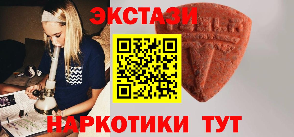 Выборг  Ecstasy  Вход с VPN  ЭКСТАЗИ диски 