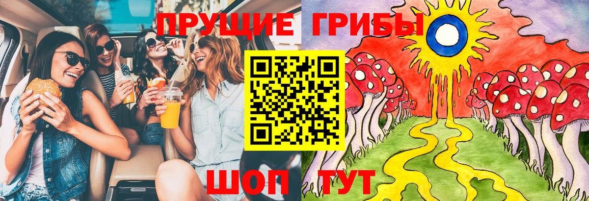 Галлюциногенные грибы прущие грибы Выборг