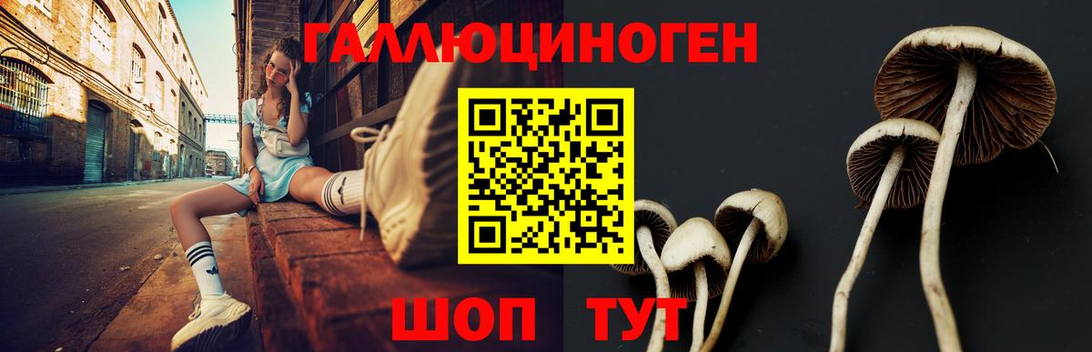 Выборг  Псилоцибиновые грибы Cubensis  Вход с VPN  Галлюциногенные грибы ЛСД 
